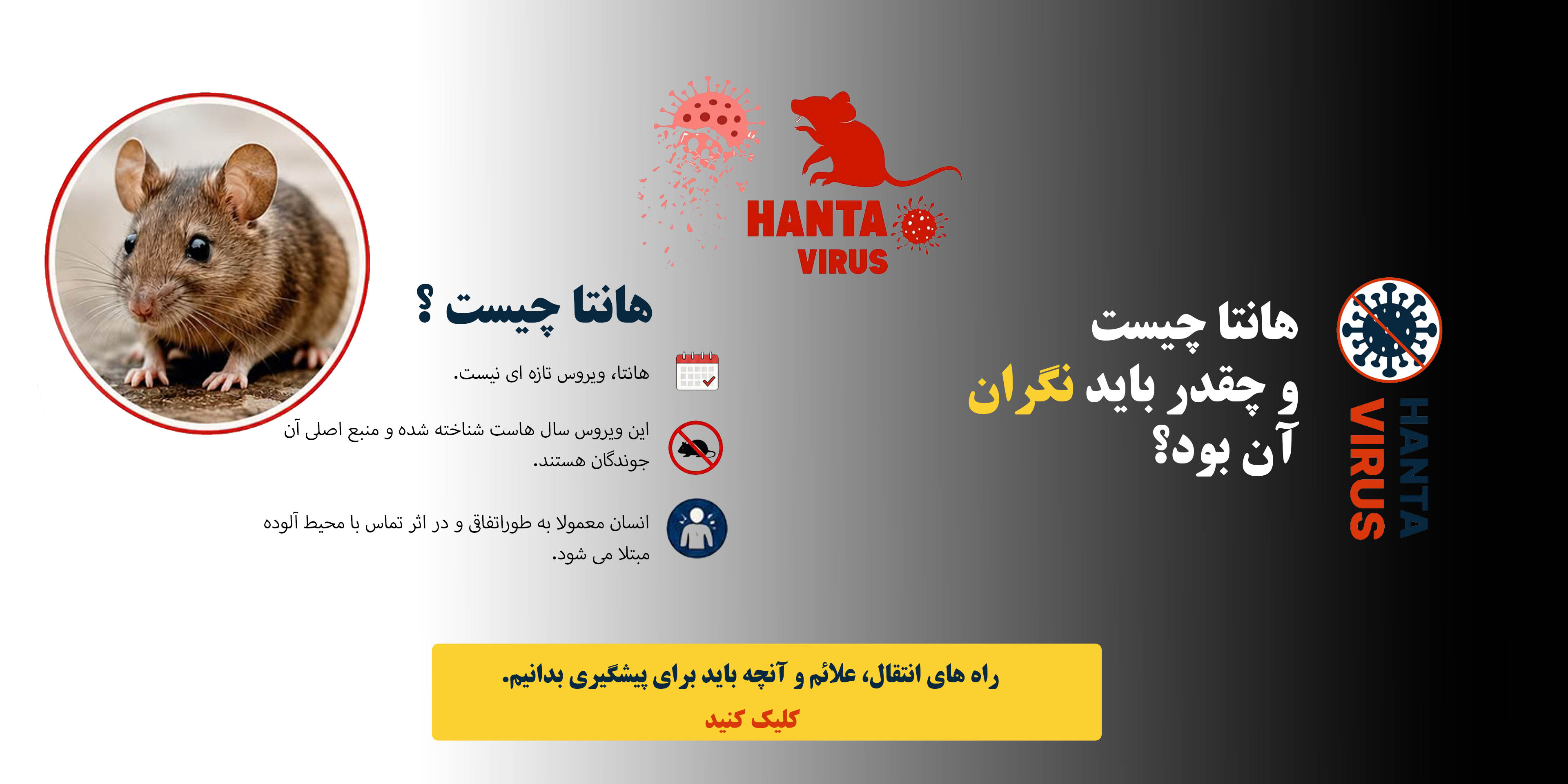 هانتا ویروس